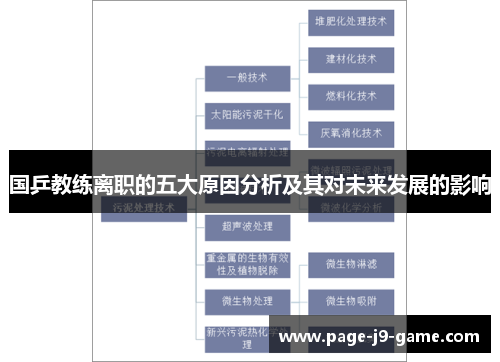 国乒教练离职的五大原因分析及其对未来发展的影响