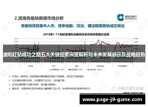 浦和红钻成功之路五大关键因素深度解析与未来发展启示及战略趋势
