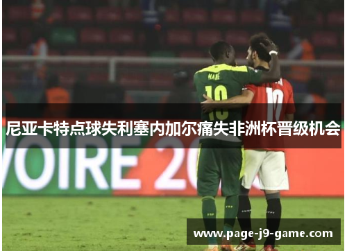 尼亚卡特点球失利塞内加尔痛失非洲杯晋级机会